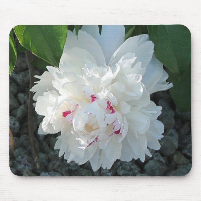 Romantic Peony Mousepad Musmatta (Framsidan)