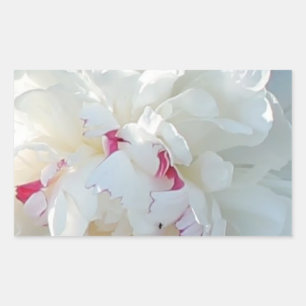 Romantic Peony Rectangle Sticker Rektangulärt Klistermärke