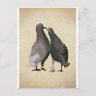 Romantic Pigeons Vykort