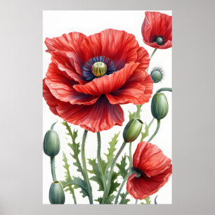 Romantic Poppy Flowers Blommar Digital Art Poster