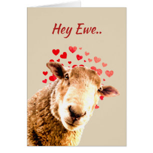 Romantic Pun Kärlek Ewe Funny Får Humor Hälsningskort