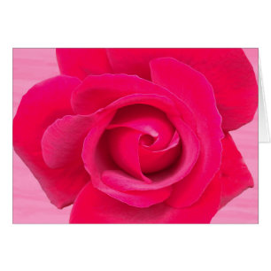 Romantic Red Rosa ros Hälsningskort