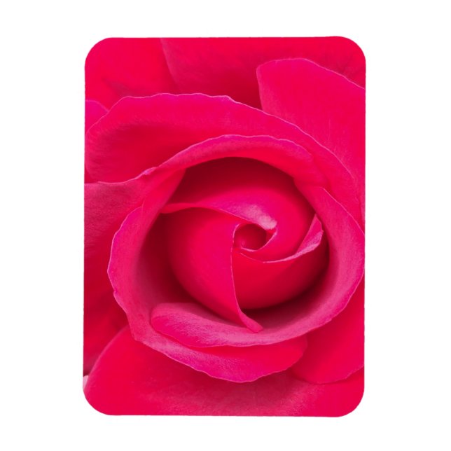 Romantic Red Rosa ros Magnet (Vertikal)