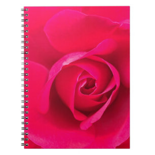 Romantic Red Rosa ros v2 Anteckningsbok
