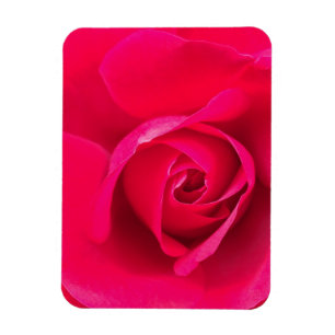 Romantic Red Rosa ros v2 Magnet