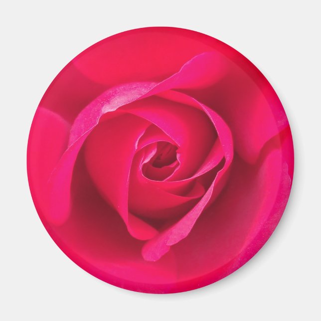 Romantic Red Rosa ros v2 Magnet (Framsidan)