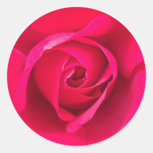 Romantic Red Rosa ros v2 Runt Klistermärke