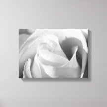 Romantic Ro Black and White Flower