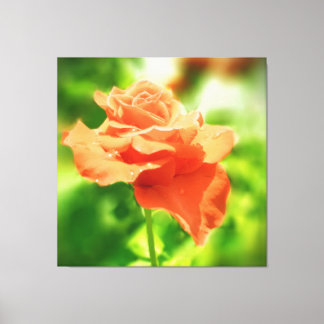 Romantic Ro Flower Canvastryck
