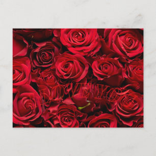 Romantic ro kärlek valentins vykort