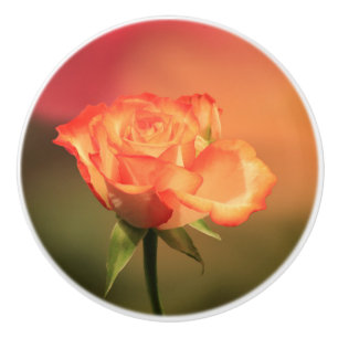 Romantic Ro Knopp