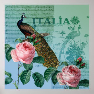 Romantic Ro Musical Peacock Poster