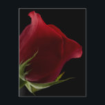 Romantic Ro Vykort<br><div class="desc">Absolut romantisk för nästan vilken tillfälle som helst,  som årsdag,  juldagar,  Helgdagar på födelsedagen osv.</div>
