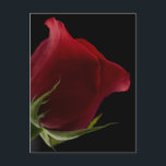 Romantic Ro Vykort<br><div class="desc">Absolut romantisk för nästan vilken tillfälle som helst,  som årsdag,  juldagar,  Helgdagar på födelsedagen osv.</div>