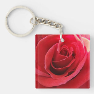 Romantic Röd ros