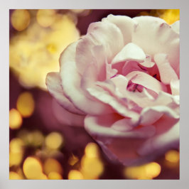 Romantic Rosa ros och Golden Gult Bokeh Poster