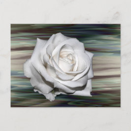 Romantic Safari Blommigt Guest Möhippa Destiny Inbjudan Vykort