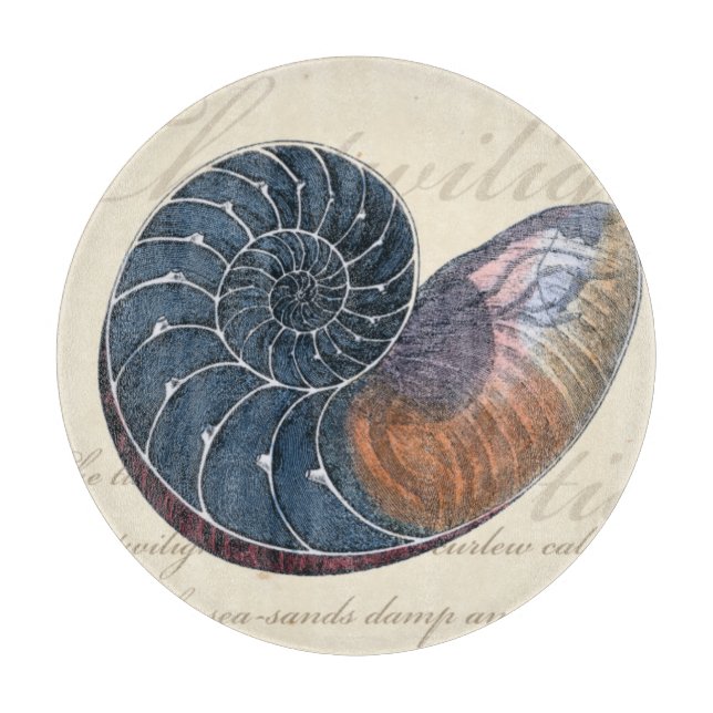 Romantic Seashell (Framsidan)