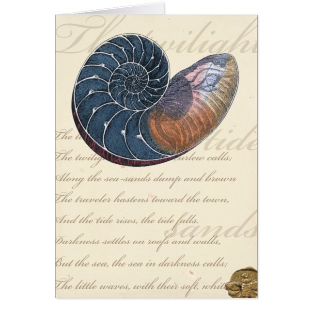 Romantic Seashell Hälsningskort (Framsidan)