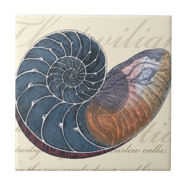 Romantic Seashell Kakelplatta (Framsidan)