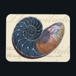 Romantic Seashell Magnet<br><div class="desc">Bor du långt från stranden? Inga problem! Skaffa den romantiska målningen så att du kan se dig själv som sitta på en fredlig strand på en varm solig dag. Denna konstens biet romantiserar havet och det lilla vinkara som lämnar dig att längta efter ett besök på stranden. Hämta den här...</div>