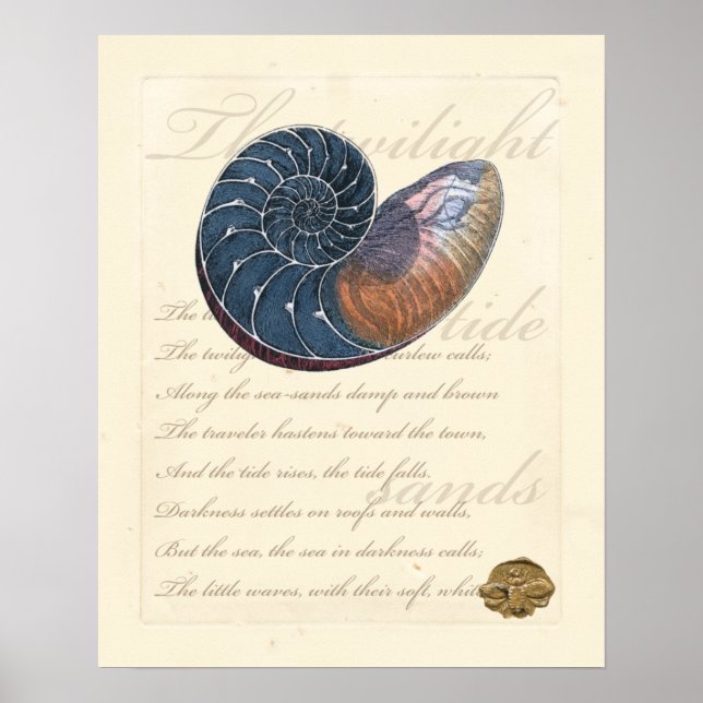 Romantic Seashell Poster (Framsidan)