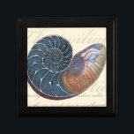 Romantic Seashell Smyckeskrin<br><div class="desc">Bor du långt från stranden? Inga problem! Skaffa den romantiska målningen så att du kan se dig själv som sitta på en fredlig strand på en varm solig dag. Denna konstens biet romantiserar havet och det lilla vinkara som lämnar dig att längta efter ett besök på stranden. Hämta den här...</div>
