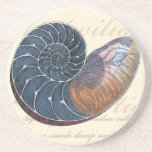 Romantic Seashell Underlägg Sandsten<br><div class="desc">Bor du långt från stranden? Inga problem! Skaffa den romantiska målningen så att du kan se dig själv som sitta på en fredlig strand på en varm solig dag. Denna konstens biet romantiserar havet och det lilla vinkara som lämnar dig att längta efter ett besök på stranden. Hämta den här...</div>