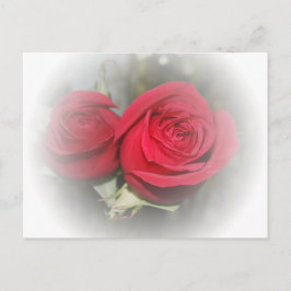 Romantic Soft Röd ros Vykort