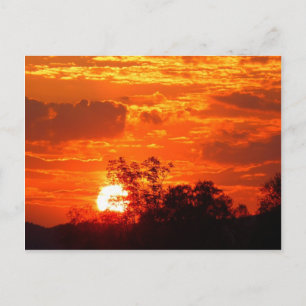 Romantic Sunset Vykort
