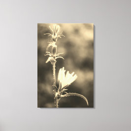 Romantic Trees & Flowers – Botanical Fantasy Boho Canvastryck