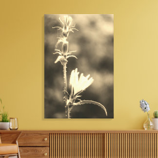 Romantic Trees & Flowers – Botanical Fantasy Boho  Canvastryck