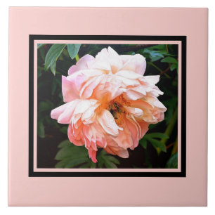 Romantic Vår Peony i Blek Peach Kakelplatta