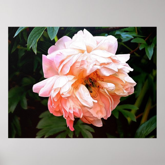 Romantic Vår Peony i Blek Peach Poster (Framsidan)