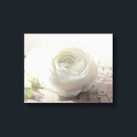 Romantic Vit ros Canvastryck<br><div class="desc">Romantiskt fotografi av vit ros.</div>