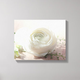 Romantic Vit ros Canvastryck