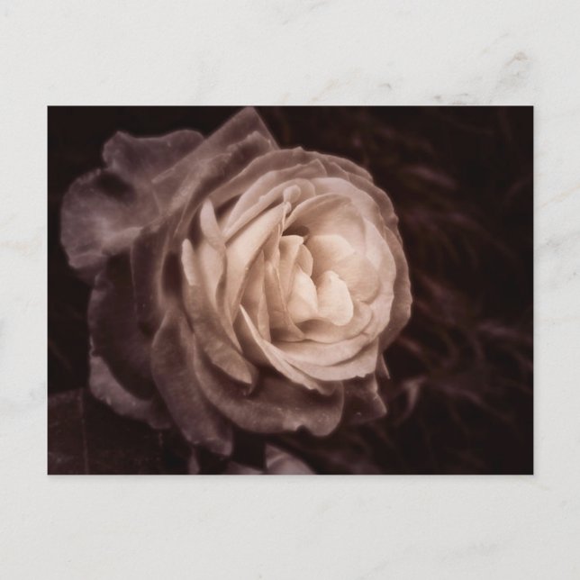 Romantica - i ro står kärlek vykort (Framsida)