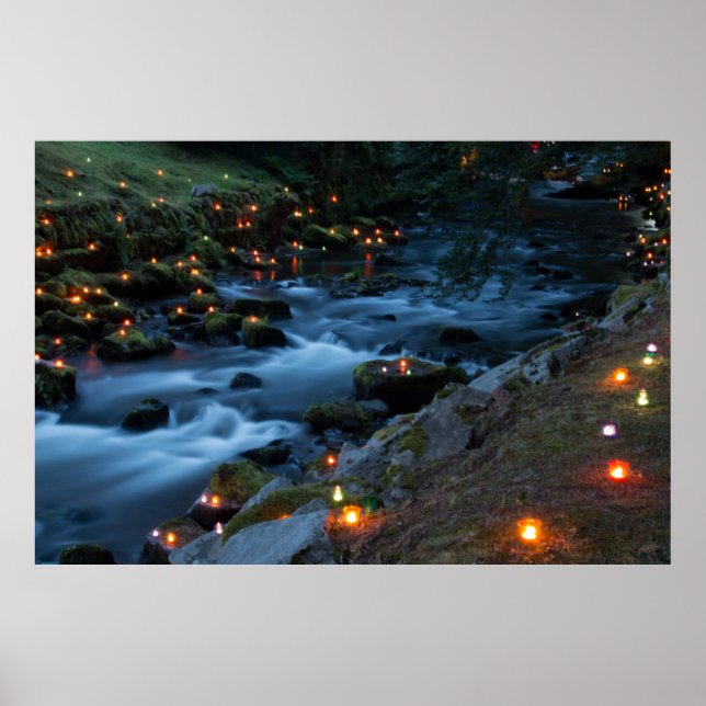 Romantik - Magiska skogen Poster (Framsidan)