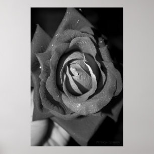 Romantik Poster