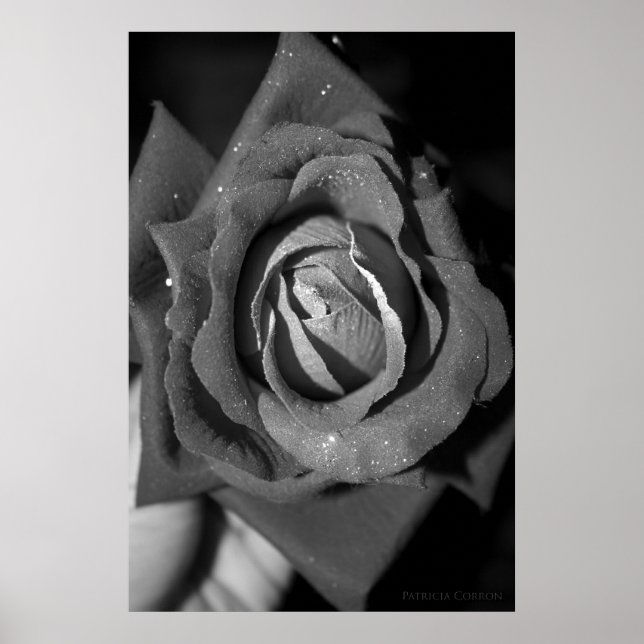 Romantik Poster (Framsidan)