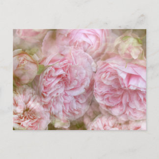 Romantische Rosen - Romantic Roses Vykort