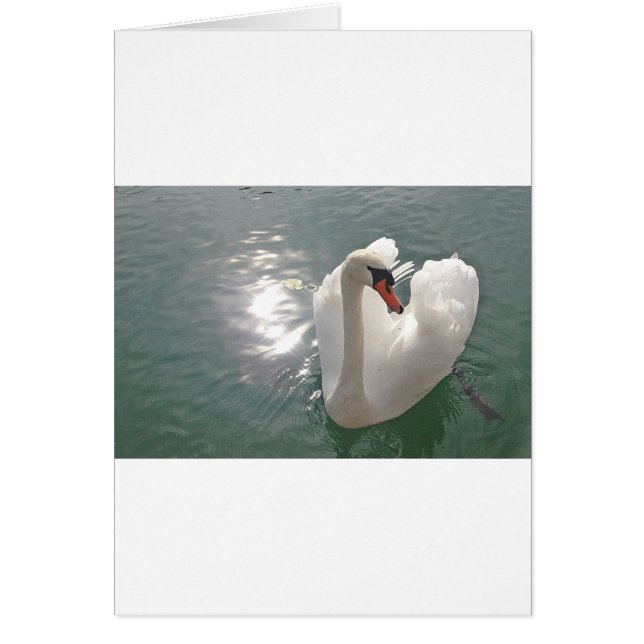 Romantischer weisser Schwan Hälsningskort (Framsidan)