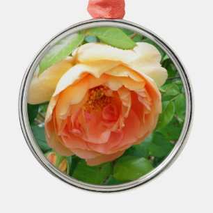 Romantisk elegant Orange Ro Julgransprydnad Metall