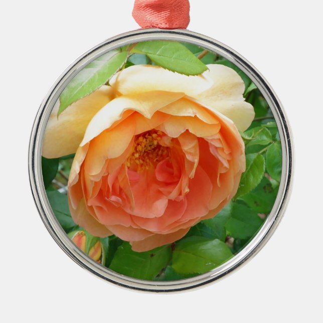 Romantisk elegant Orange Ro Julgransprydnad Metall (Framsidan)