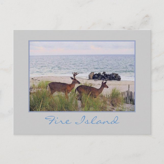 "Romantisk kvällsrulle längs stranden" vykort (Framsida)