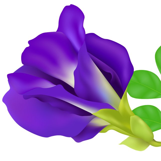 Romantisk lila blomma Spara datum Magnet  (Flower)