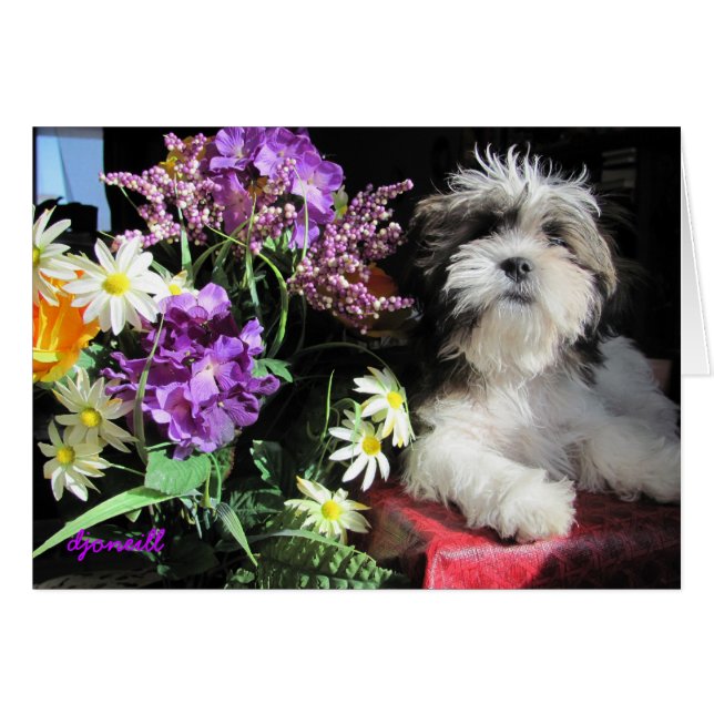 Romantisk marionettöverraskning? hälsningskort (Framsidan Horizontal)