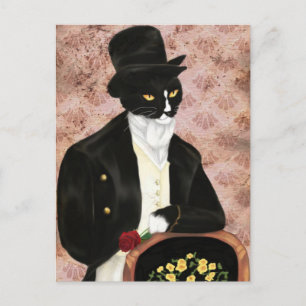 Romantisk Mr Darcy Cat-vykort Vykort