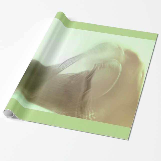 Romantisk nederbördsdetalj presentpapper (Utrullad)