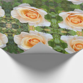 Romantisk Orange Rosor Ro Flowers Blommigt Presentpapper